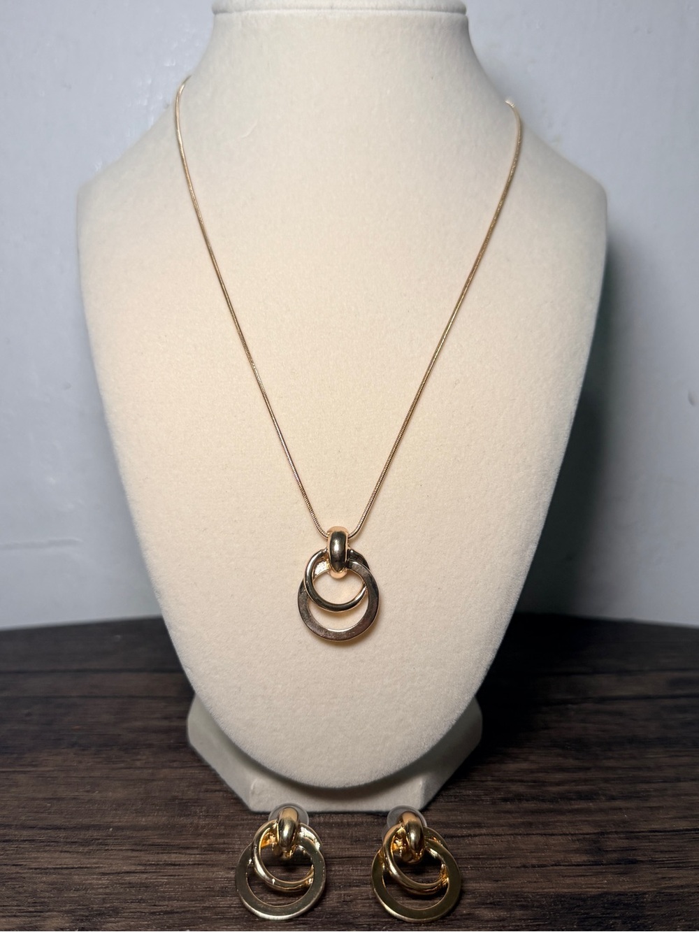 Stainless Steel Gold-Tone Interlocking Circle Necklace and Earring Set